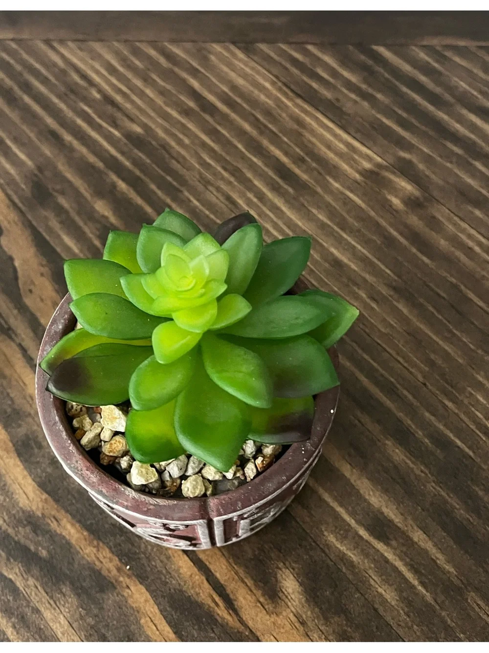 Route 66 California FAUX Succulent Planter -